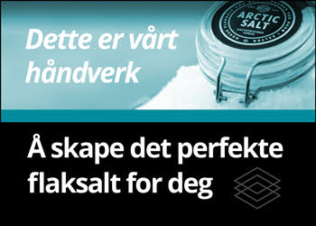 Arctic Salt |Teknologiskenyheter.no